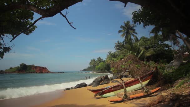 Sri Lanka ocean seascape sea shore. Landscape. — Stock Video