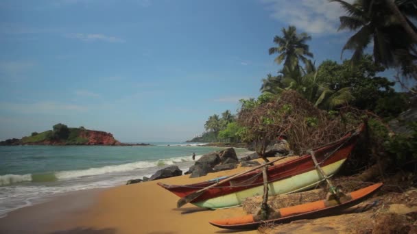 Srí Lanka óceán tengeri partja. Tájkép. — Stock videók