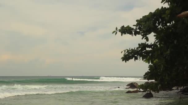 Pantai laut Sri Lanka. Lansekap . — Stok Video
