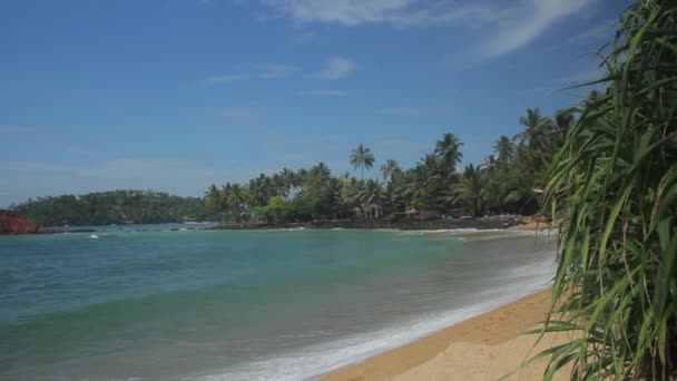 Sri Lanka oceaan zeegezicht zee kust. Landschap. — Stockvideo