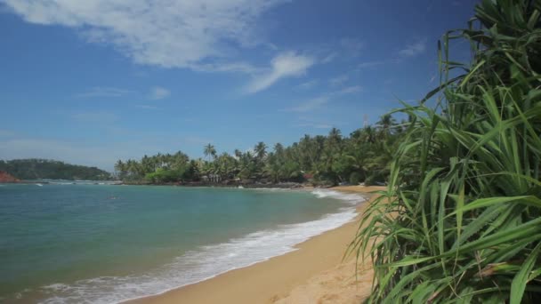Sri Lanka océan paysage marin rivage. Paysage .