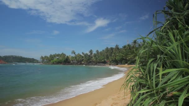 Sri Lanka océano costa del mar paisaje. Paisaje . — Vídeos de Stock