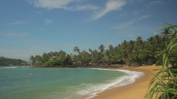 スリランカの海の風景海の海岸。風景. — ストック動画