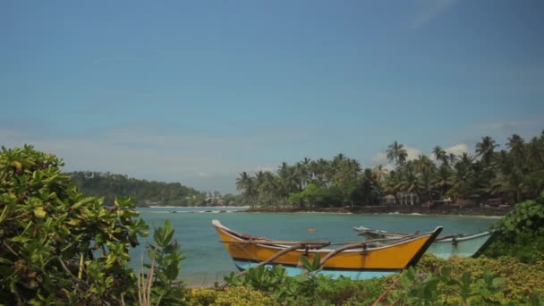 Sri Lanka oceaan zeegezicht zee kust. Landschap. — Stockvideo