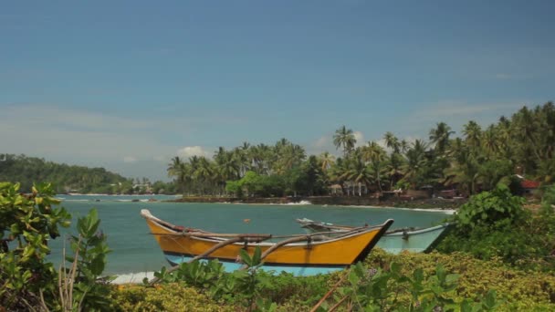 Sri Lanka ocean seascape sea shore. Landscape. — Stock Video