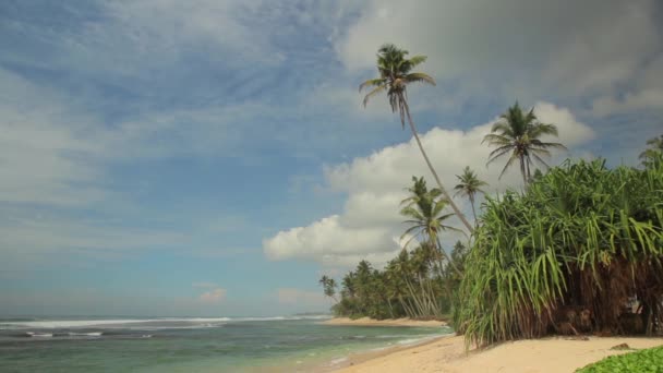 Sri Lanka oceaan zeegezicht zee kust. Landschap. — Stockvideo