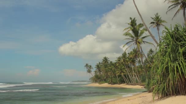 Sri Lanka océan paysage marin rivage. Paysage .