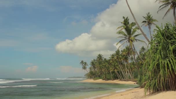 Srí Lanka óceán tengeri partja. Tájkép. — Stock videók