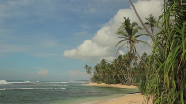 Srí Lanka óceán tengeri partja. Tájkép. — Stock videók