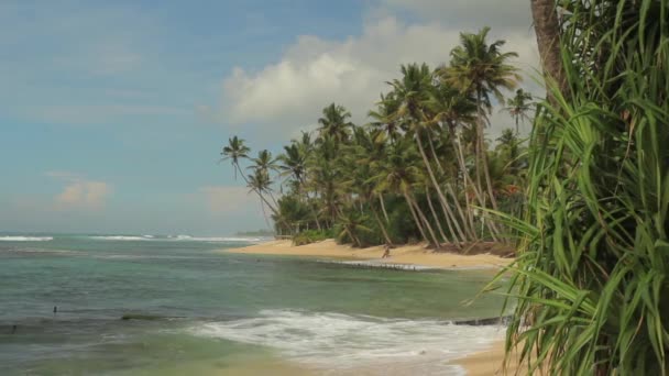 Sri Lanka oceaan zeegezicht zee kust. Landschap. — Stockvideo