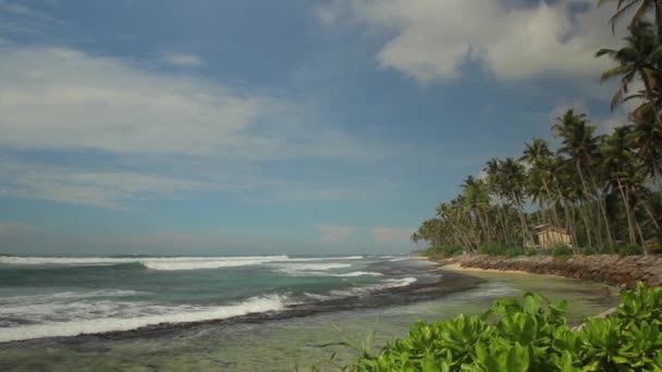 Sri lanka ocean sea cape sea shore. Landschaft. — Stockvideo