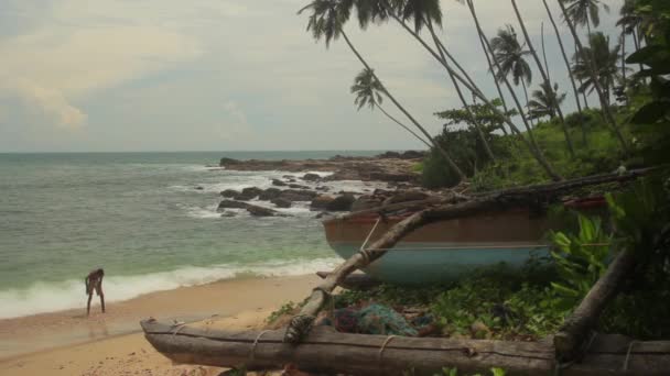 Costa marítima do Sri Lanka Oceano. Paisagem . — Vídeo de Stock