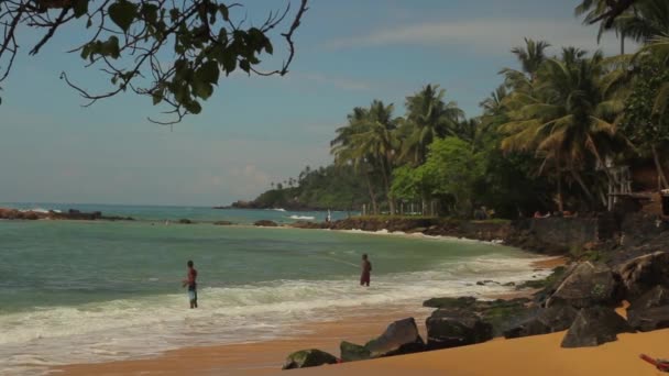 Srí Lanka oceánské pobřeží. Krajina. — Stock video