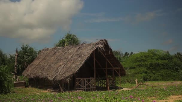 Cabana solitária na selva. Sri Lanka. Ásia . — Vídeo de Stock