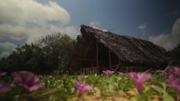 Einsame Hütte im Dschungel. sri lanka. Asien. — Stockvideo