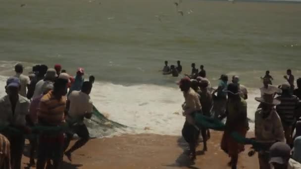 Риболовля в Шрі - Ланці на березі моря. — стокове відео