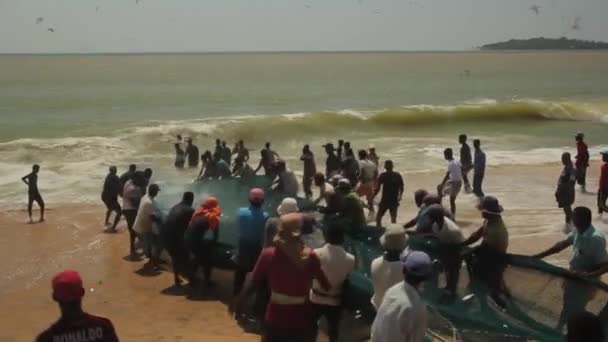 Rede de pesca no Sri Lanka na praia no mar — Vídeo de Stock