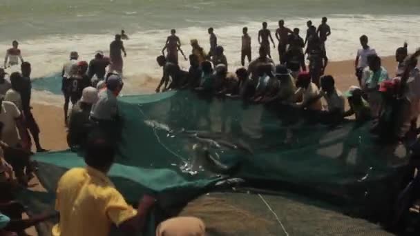 Сетевая рыбалка в Шри-Ланке на пляже в море — стоковое видео