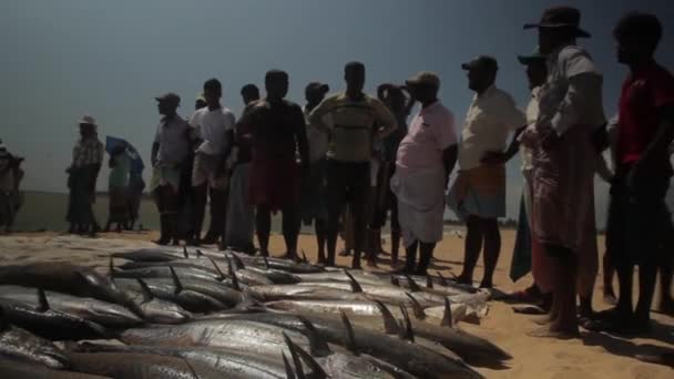 Rede de pesca no Sri Lanka na praia no mar — Vídeo de Stock