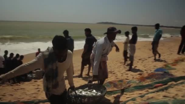Połowy sieciowe na Sri Lance na plaży na morzu — Wideo stockowe