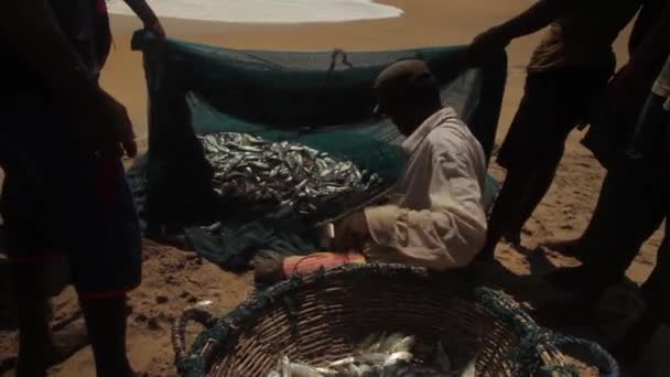 Pesca neta en Sri Lanka en la playa en el mar — Vídeos de Stock