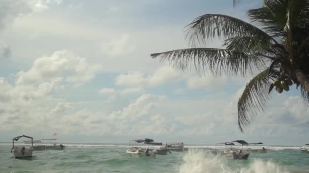 Seascape of Sri lanka. Barcos en el mar — Vídeos de Stock