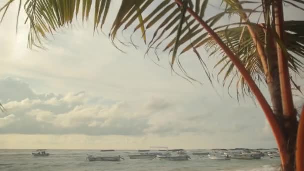 Seascape of Sri lanka. Barcos en el mar — Vídeos de Stock