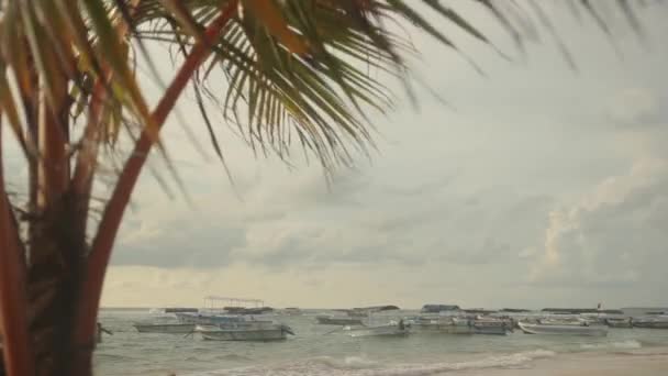 스리랑카의 조경. 바다에 떠 있는 배 — 비디오