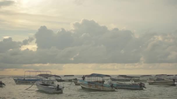 Seascape of Sri lanka. Barcos en el mar — Vídeo de stock