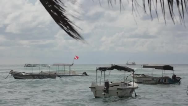 Srí Lanka tengerpartja. Csónakok a tengeren — Stock videók