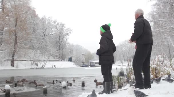 Сніжний зимовий парк. Київ. Україно. Дідусь і онук годують качок. — стокове відео