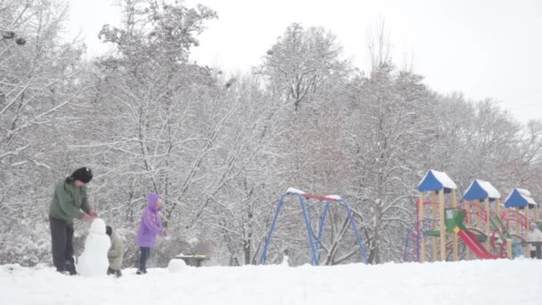 Χιονισμένο χειμερινό πάρκο. Κίεβο. Ουκρανία — Αρχείο Βίντεο