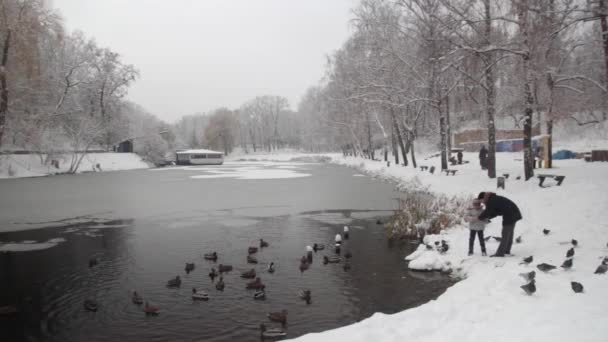 Śnieżny park zimowy. Kijów. Ukraina — Wideo stockowe