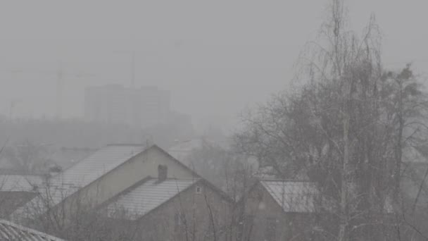 Chute de neige dans la ville pendant la journée. Kiev. Ukraine. Mouvement lent — Video