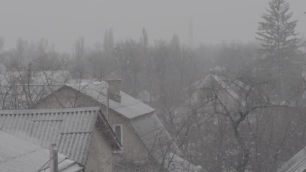 Gün boyunca şehirde kar yağışı. Kyiv. Ukrayna. Yavaş çekim — Stok video