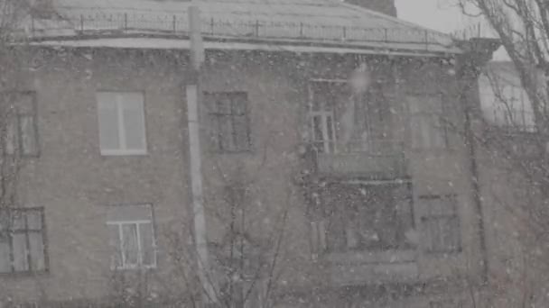 Snöfall i staden under dagen. Kiev. Ukraina. Långsamma rörelser — Stockvideo