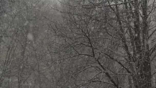 Chute de neige dans la ville pendant la journée. Kiev. Ukraine. Mouvement lent — Video