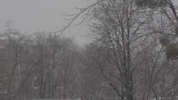 Nevadas en la ciudad durante el día. Kiev. Ucrania — Vídeos de Stock