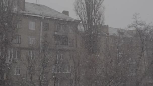 Снігопад у місті протягом дня. Київ. Україна — стокове відео