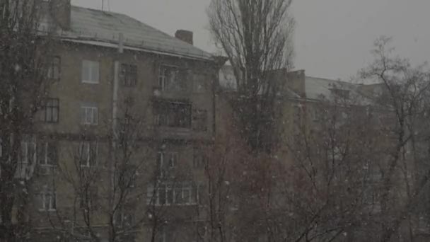 Salju turun di kota pada siang hari. Kyiv. Ukraina — Stok Video