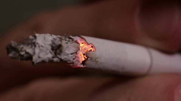 Cigarro na boca de um fumante. Close-up . — Vídeo de Stock