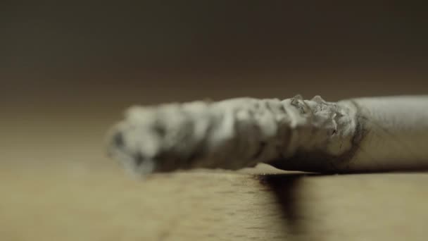 Röker cigarett närbild. Makro. — Stockvideo