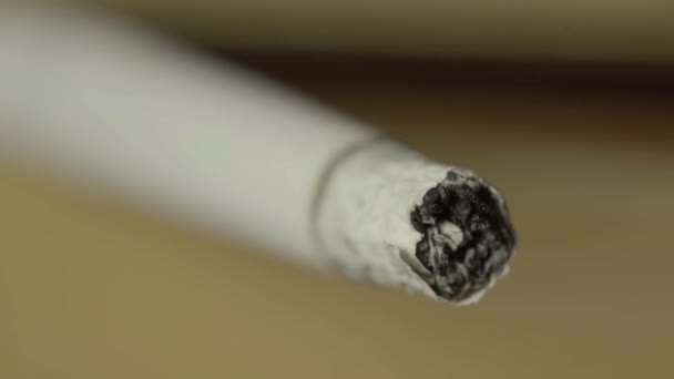 Röker cigarett närbild. Makro. — Stockvideo