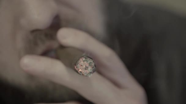 Szivar a dohányosok szájában közelkép. Dohányzás — Stock videók