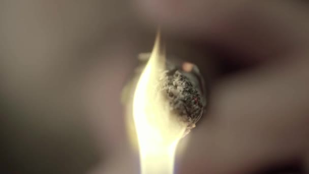 烟民口中的雪茄是特写的。 吸烟 — 图库视频影像