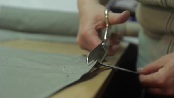 縫製工場ではストレスが働いています。キエフ。ウクライナ — ストック動画