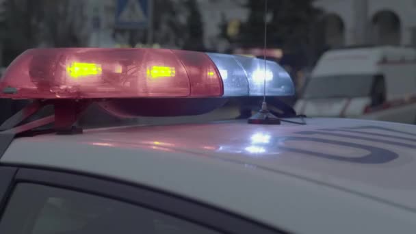 Blinklichter auf dem Dach eines Polizeiautos in der Nacht. Blinker. — Stockvideo