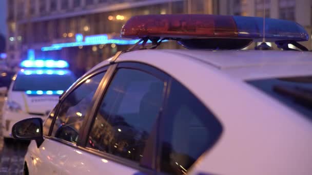 Clignotant sur le toit d'une voiture de police la nuit. Clignotant . — Video