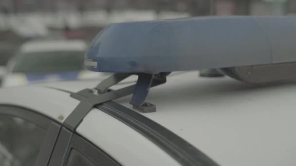 Blinkende blotter på taket av en politibil. Blinker. Avgrensning. – stockvideo