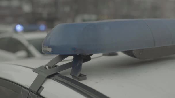 Blikající blikač na střeše policejního auta. Mrkačka. Detailní záběr. — Stock video